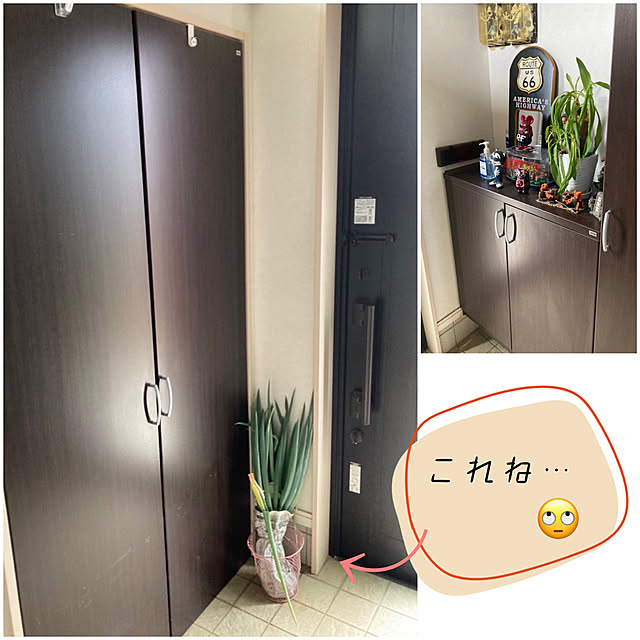 ikeさんの実例写真