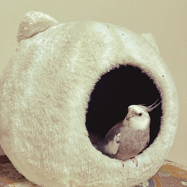 mukuさんの実例写真