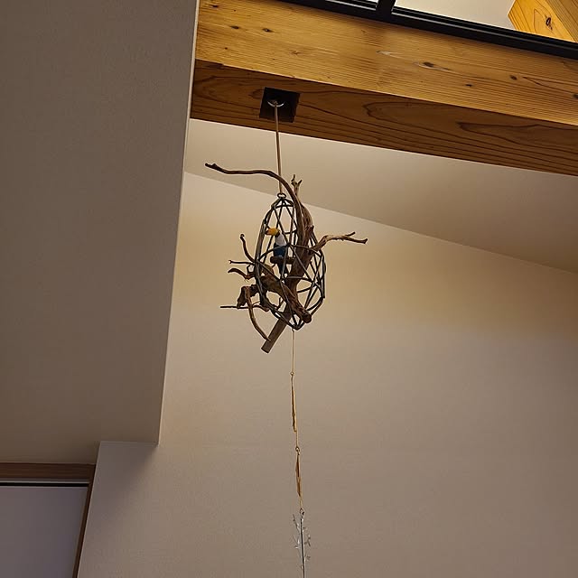 Rubiconさんの部屋