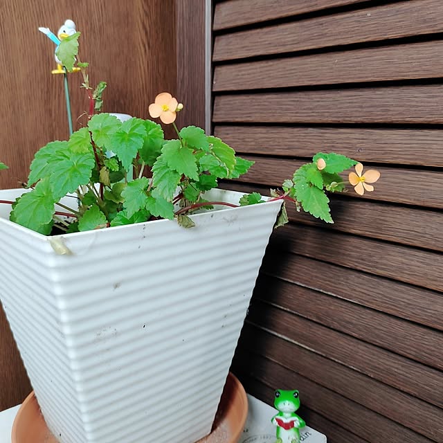 kiraさんの部屋