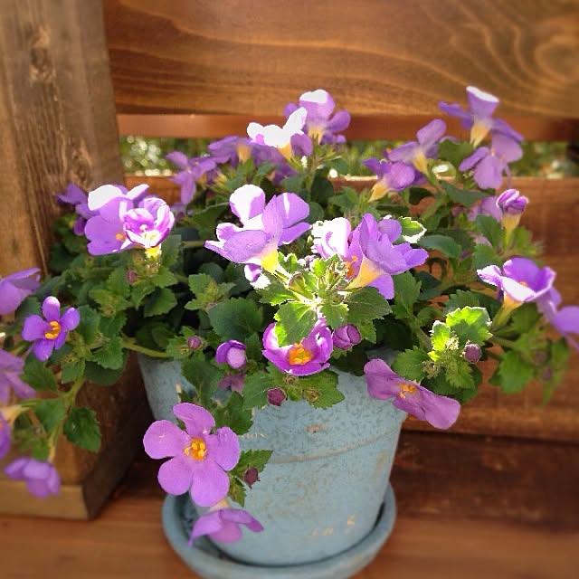 rookuさんの実例写真