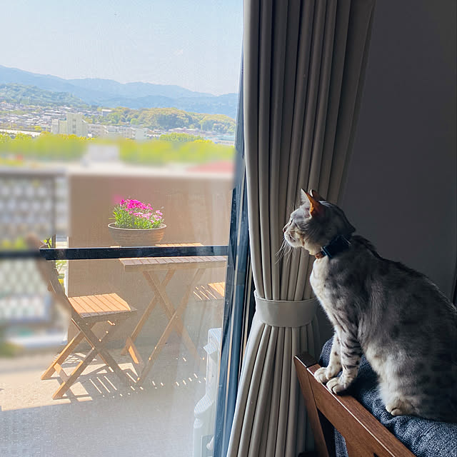 yuさんの実例写真