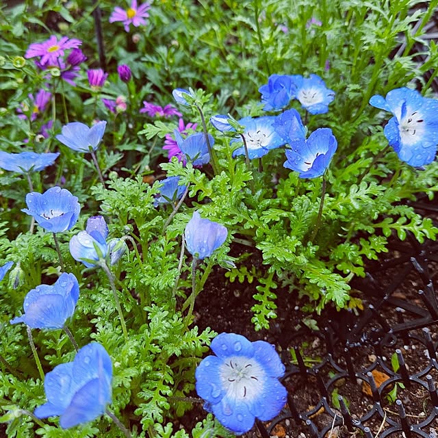 mocomocoさんの部屋