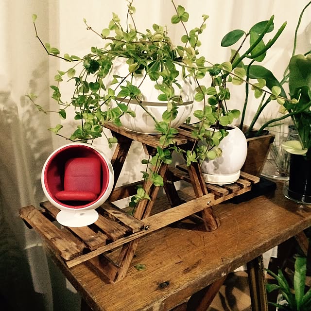 interior_yuさんの実例写真