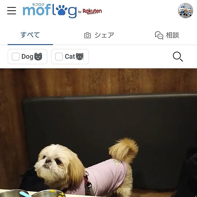 yukagomaさんの実例写真