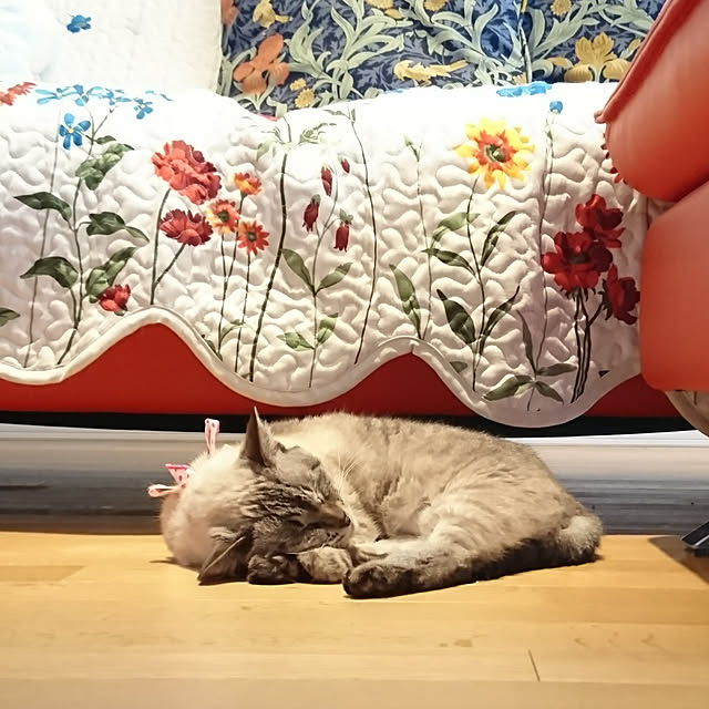 bonobono54さんの実例写真