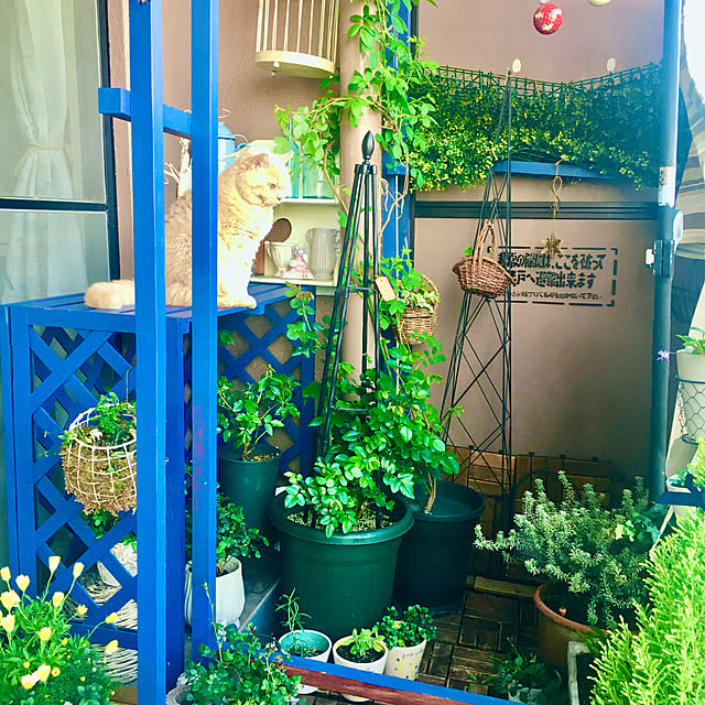 naokoさんの部屋
