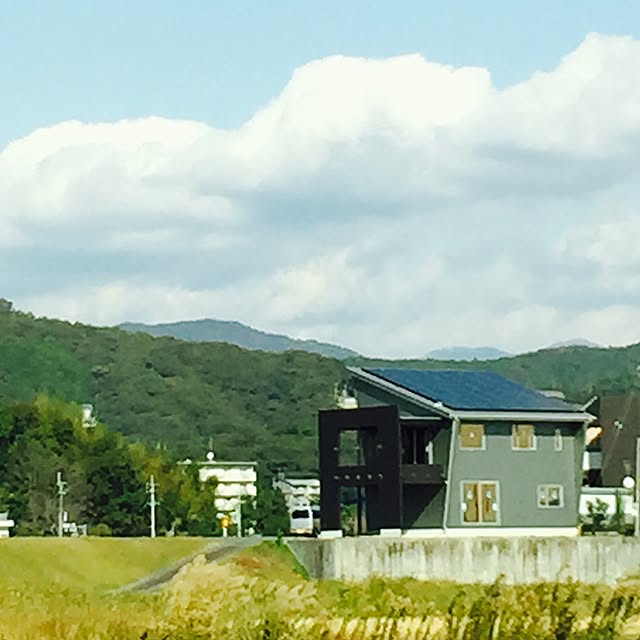 実例写真
