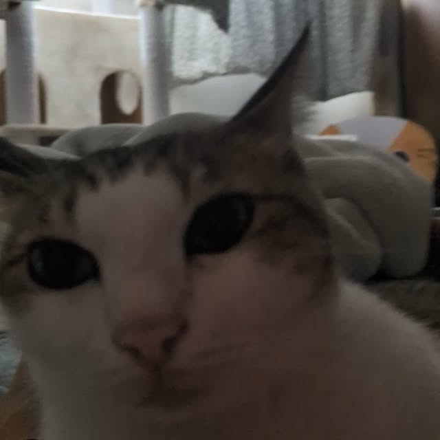 mori_6_12さんの部屋