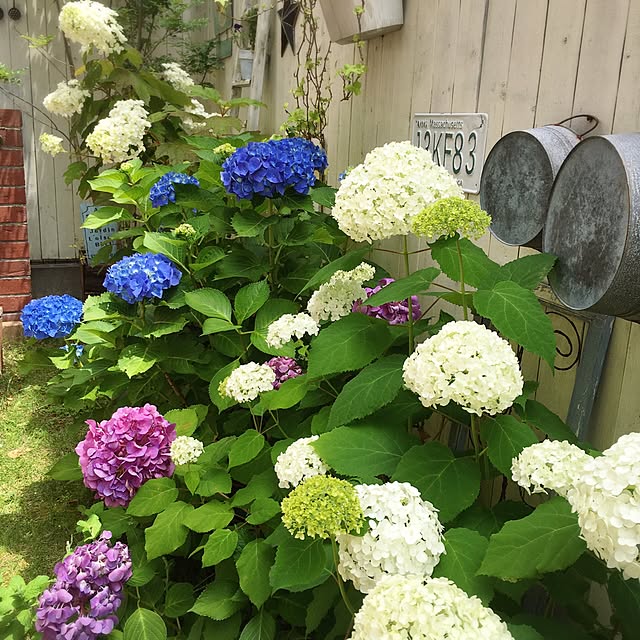 m_yng_さんの実例写真