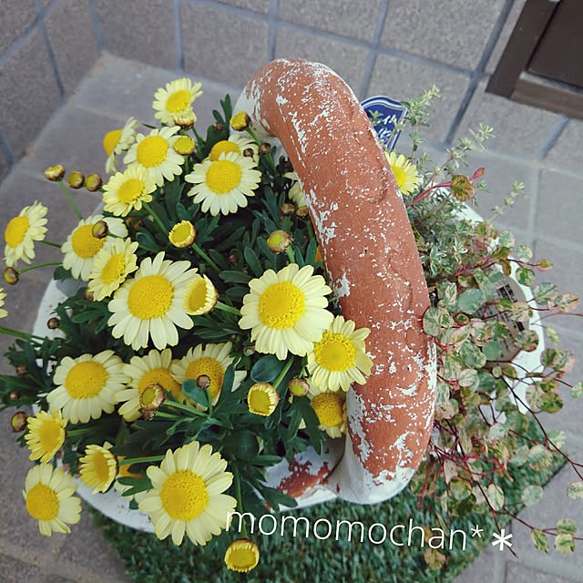 実例写真