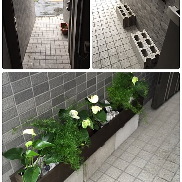 mizuna_kaikaiさんの実例写真