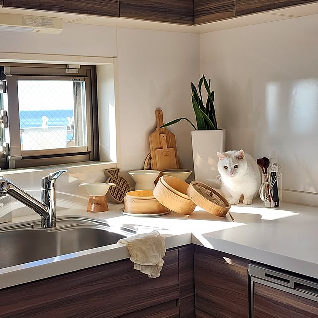 tomatoさんの部屋