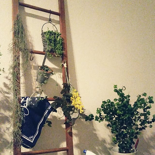 pinkoさんの実例写真