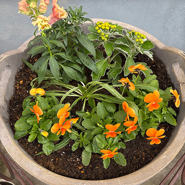 vanity.39さんの実例写真