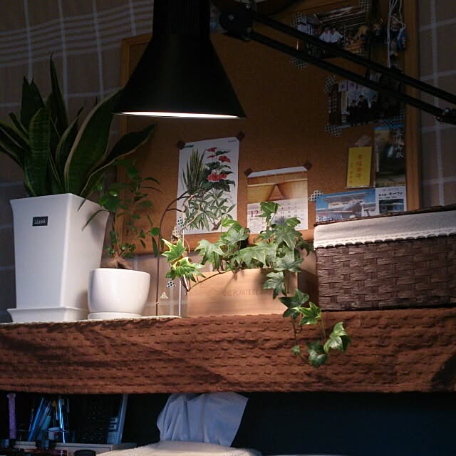 実例写真