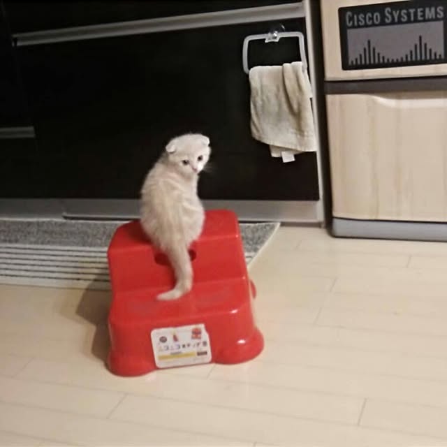 jonimofuさんの実例写真
