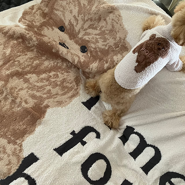 s.o-r.aさんの実例写真
