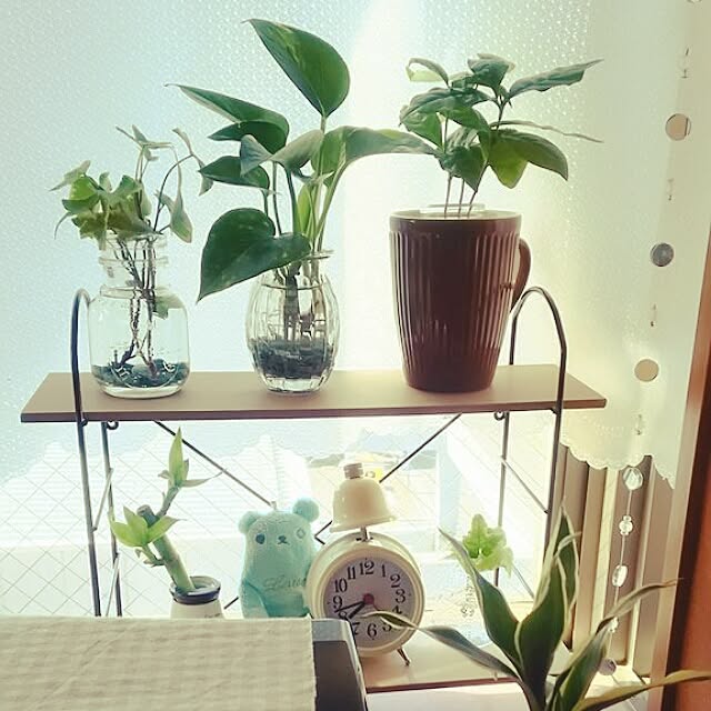 chou_dscさんの実例写真