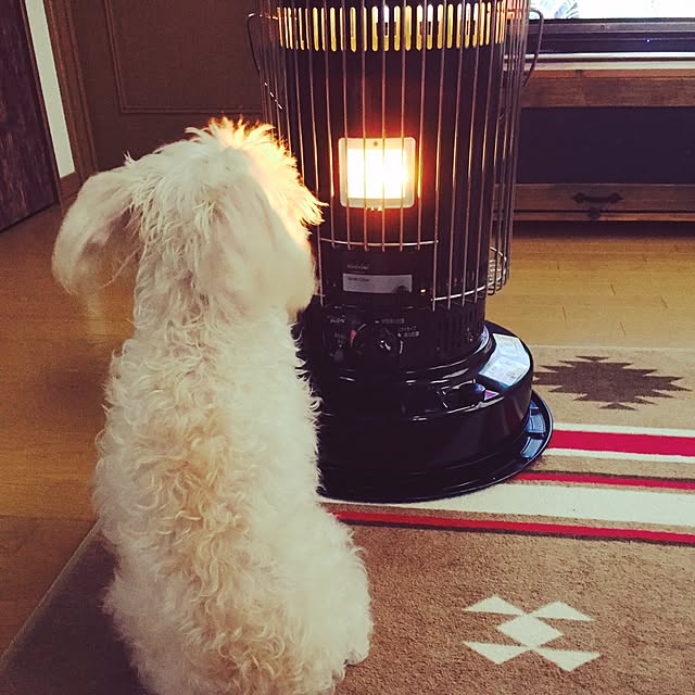 purinさんの実例写真