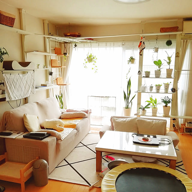sisimaru1023さんの実例写真