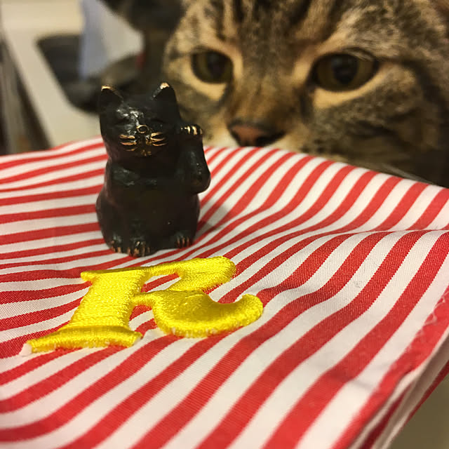 mikomaruさんの実例写真