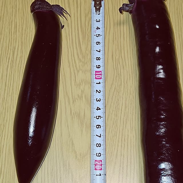 mocomocoさんの部屋