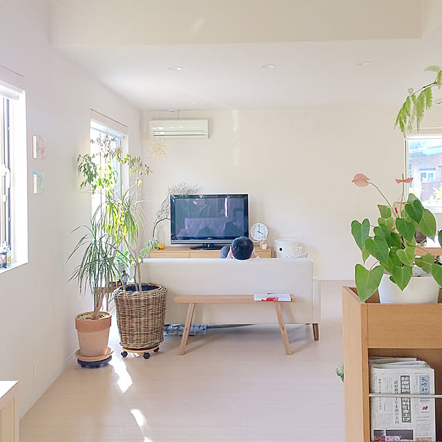 masami.hさんの実例写真