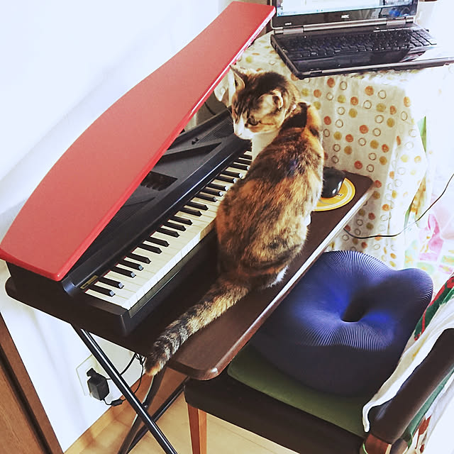 akiさんの実例写真