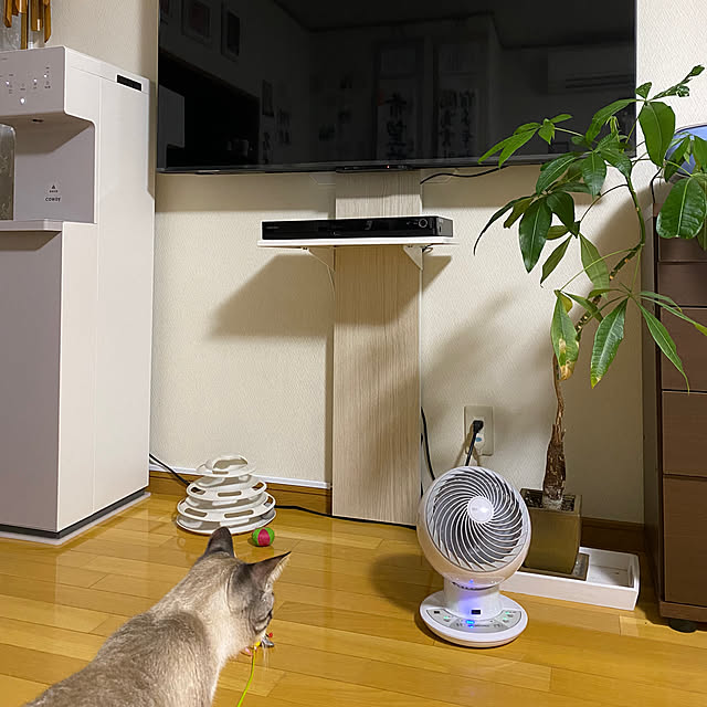 konanaka08さんの実例写真