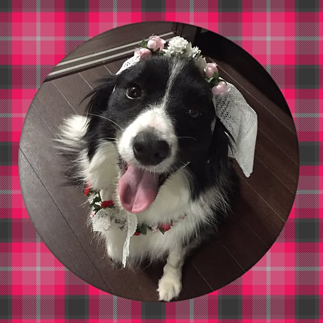 taeさんの実例写真