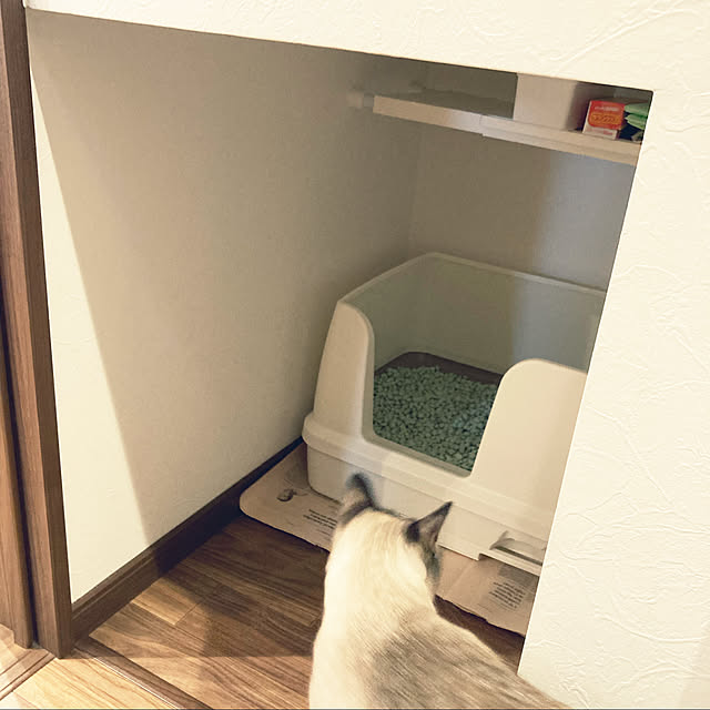 piyoさんの実例写真