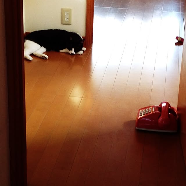 utataneさんの実例写真