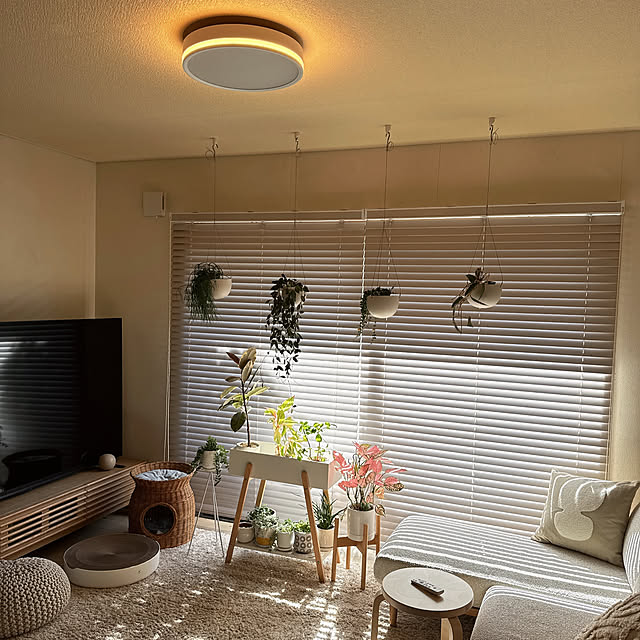 chinaさんの部屋