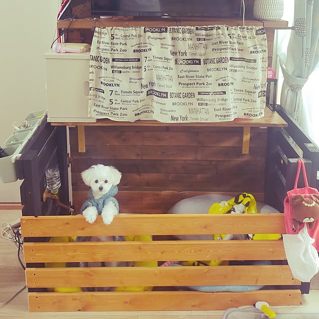 diydogさんの実例写真