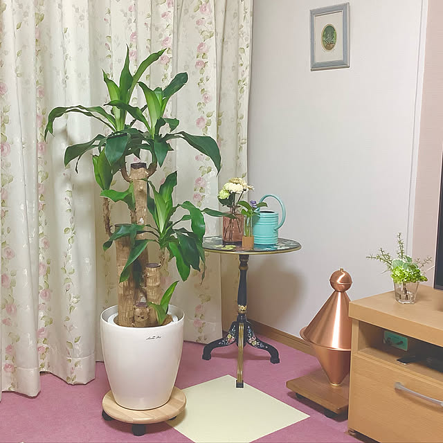 haruminさんの実例写真