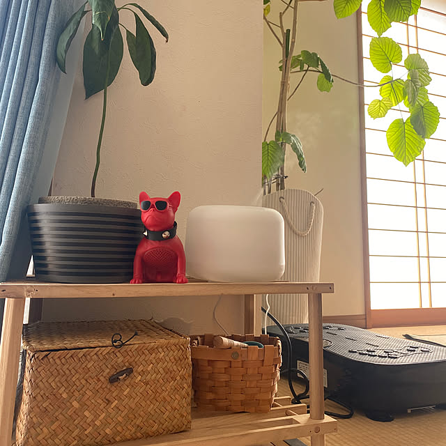 kotaroさんの実例写真