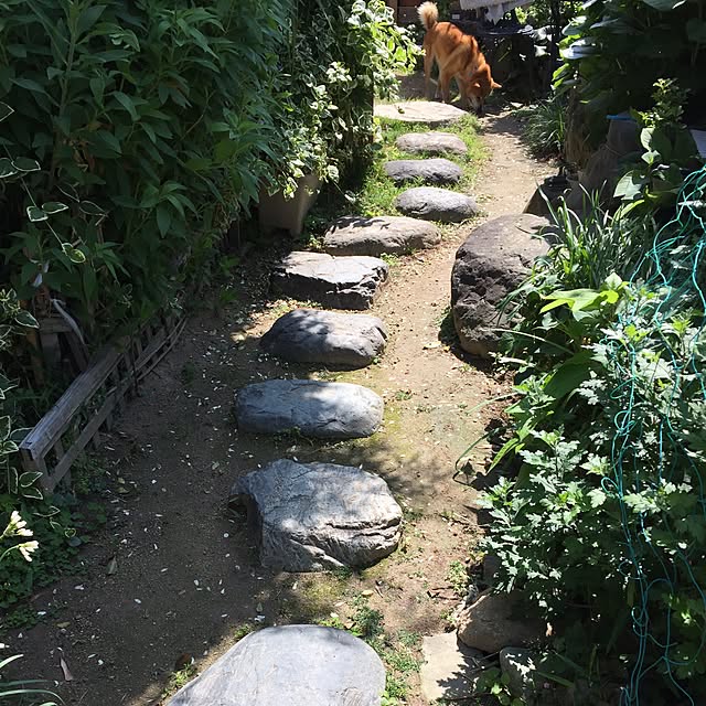 moririnさんの実例写真