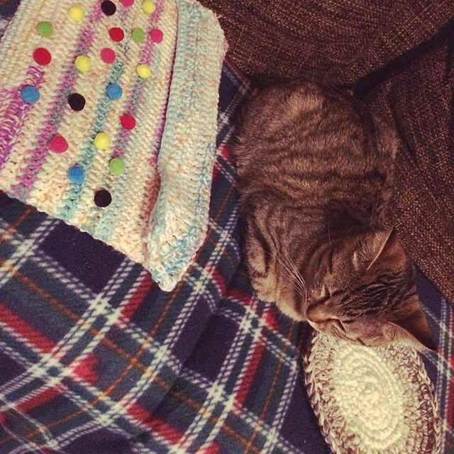 ayapiiiiceさんの実例写真