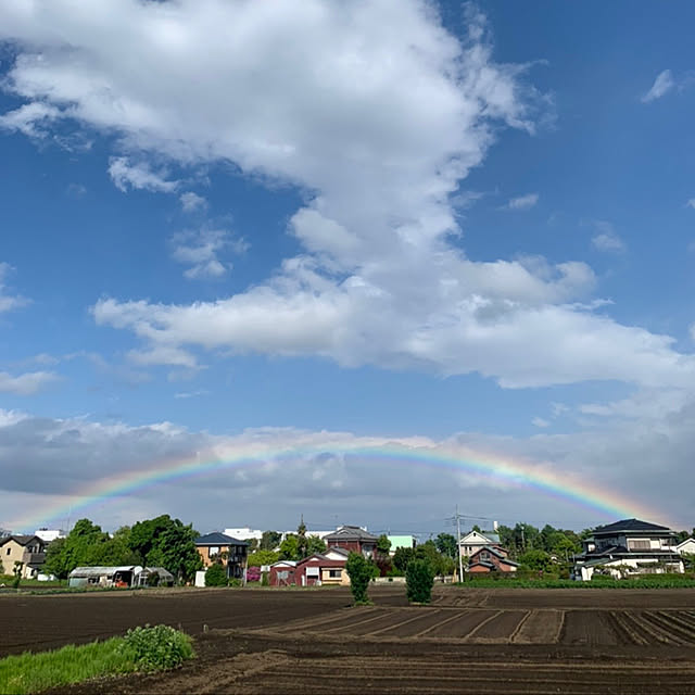 虹/空/壁/天井のインテリア実例 - 2022-05-08 10:14:48