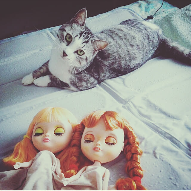 mntcさんの実例写真