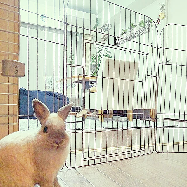 makiさんの実例写真