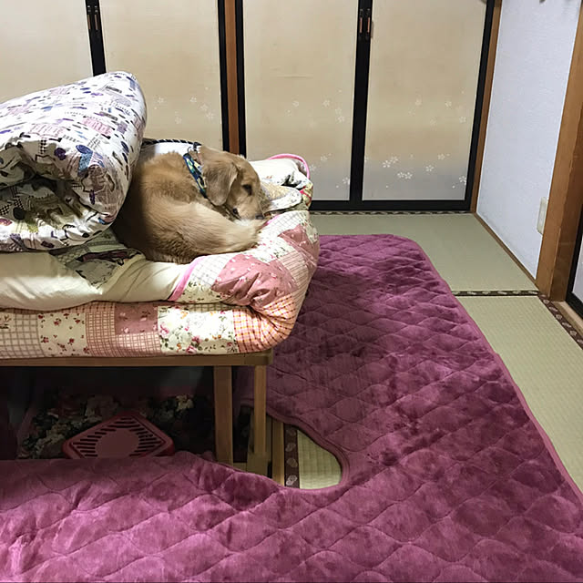 ronronさんの実例写真