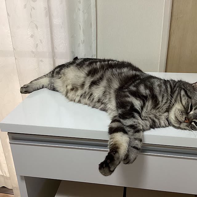 richanさんの部屋