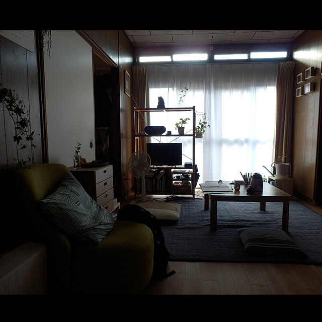 kikukanaさんの実例写真