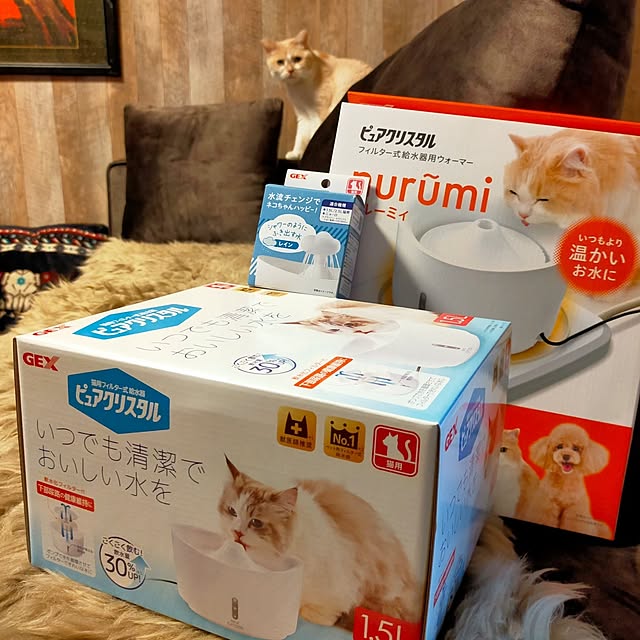 kobakissaさんの部屋