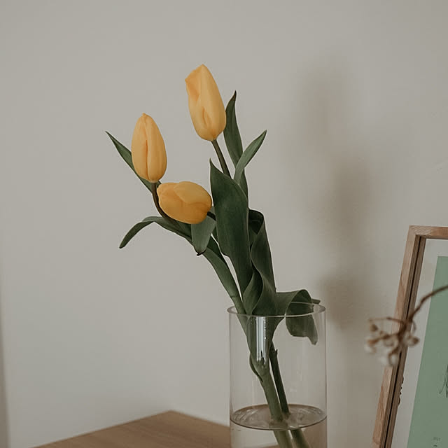 ui____homeさんの部屋