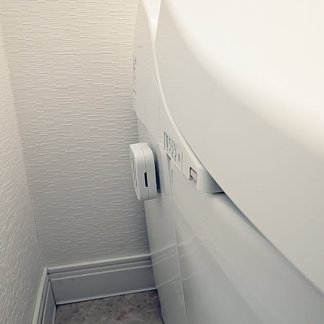 Renさんの実例写真