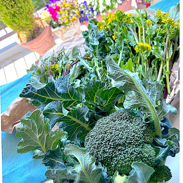 syutmmさんの部屋