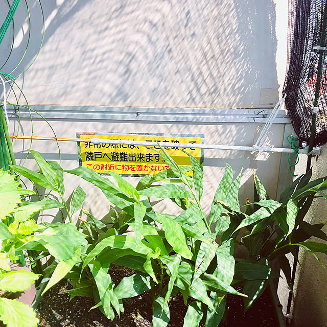 hanachanさんの実例写真